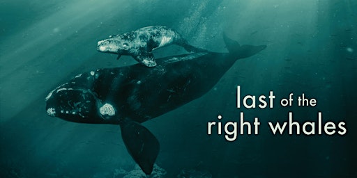 Last of the Right Whales Movie Premiere
