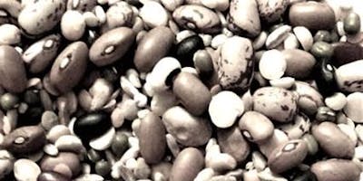 LE SFIDE DELL'AIUTO. Assistenti sociali nel quotidiano dell'immigrazione LE SFIDE DELL'AIUTO. Assistenti sociali nel quotidiano dell'immigrazione