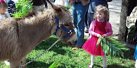 Palm Sunday Service with real donkey!