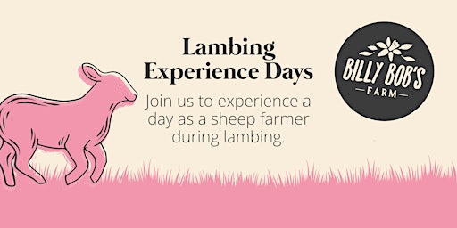Junior Lambing Event