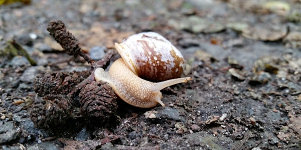 Seward Park Bioblitz