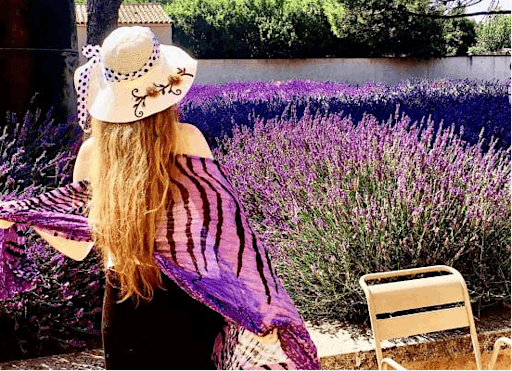 Lavender Fields in France primary image