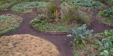 Introduction to Permaculture primary image