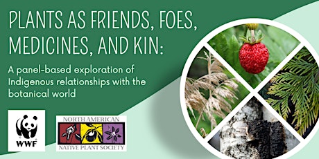 Plants as Friends, Foes, Medicines, and Kin