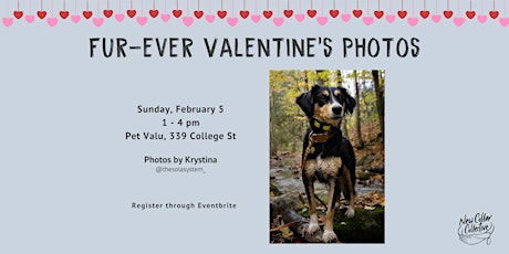 Furever Valentine Photoshoot Fundraiser at Pet Valu!