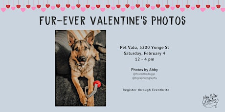 Furever Valentine Photoshoot Fundraiser at Pet Valu!