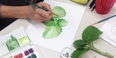 Botanical Drawing Class primary image