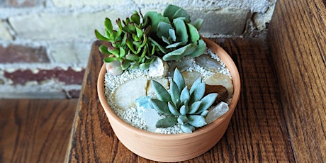 Pints and Plants Crystal Succulent Garden!