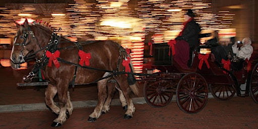 Valentine's Carriage Rides at Reston Town Center