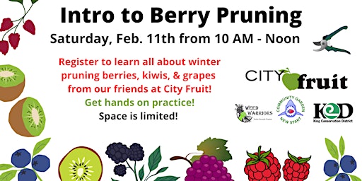 FREE  Berry Pruning 101 Workshop