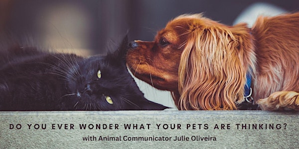 Do you ever wonder what your pet is thinking?