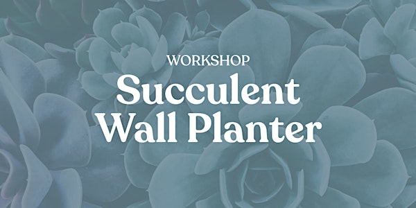 Workshop: Build a Succulent Wall Planter