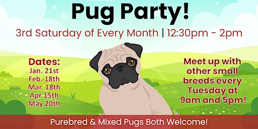 Pug Party Saturday February 18th at 12:30pm