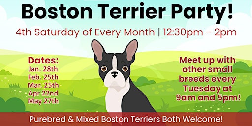 Boston Terrier Party Saturday February 25th at 12:30pm