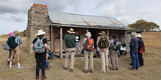Ranger Guided Walk - Settlers Track at Namadgi National Park primary image