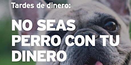 TARDES DE DINERO: NO SEAS PERRO CON TU DINERO