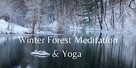 Winter Forest Meditation and Yoga