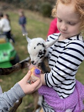 Egg Hunt with Baby Goats on Got Your Goat Farm