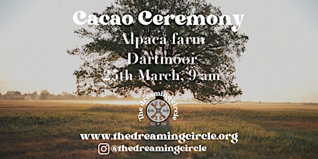 Imagen principal de Traditional Cacao Ceremony -Alpaca farm- Dartmoor