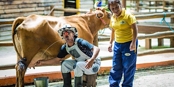 Desconto para Mini Fazenda Pet Zoo, em Cotia