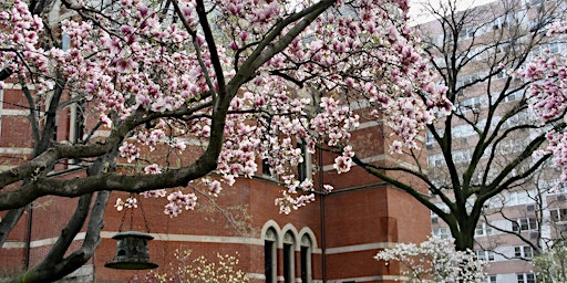 Imagem principal do evento Blooms and Books Benefit 2024