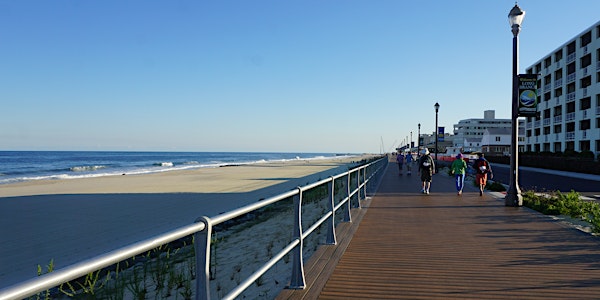 The Endless Summer Walk