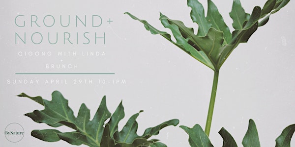 GROUND + NOURISH: QI GONG WITH LINDA & BRUNCH