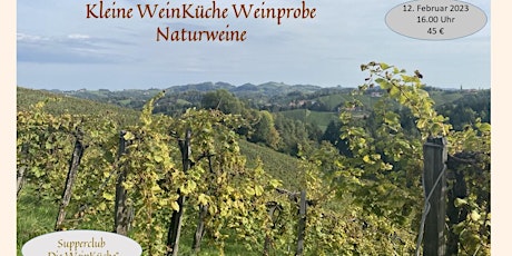 Winetasting "low influence wines" - Weinprobe "Naturweine"