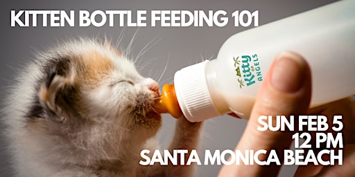 Kitten Bottle Feeding Class