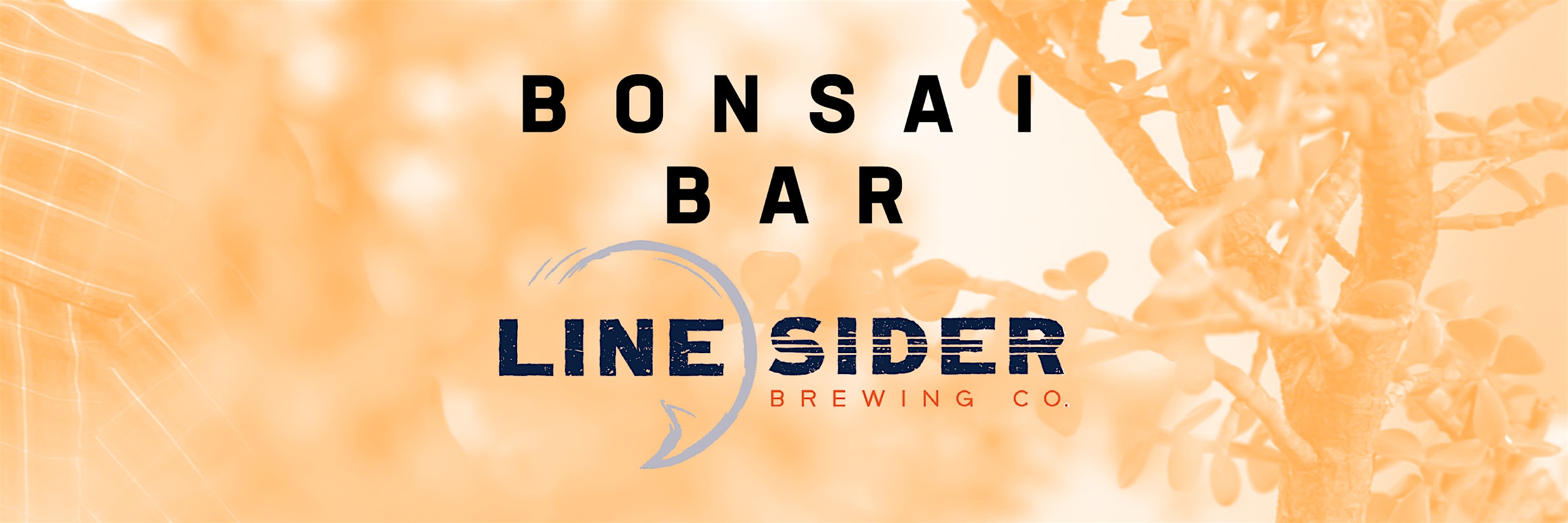Bonsai Bar @ LineSider Brewing
