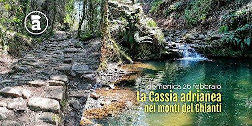La Cassia adrianea, nei monti del Chianti