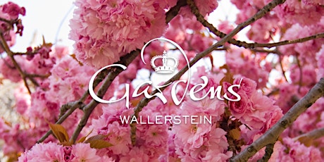 Soft-Opening Wallerstein Gardens mit Eröffnungsführung