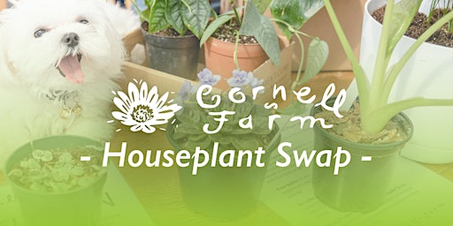 April Houseplant Swap at Cornell Farm