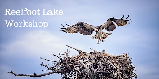 Reelfoot Lake Photo Workshop  primärbild