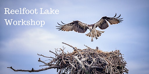 Imagem principal do evento Reelfoot Lake Photo Workshop