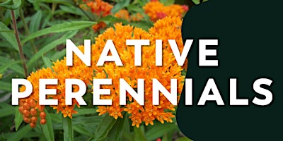 Native Perennials Workshop primary image