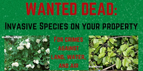 Wanted! Dead or Dead.  Invasive Species On Your Property primary image