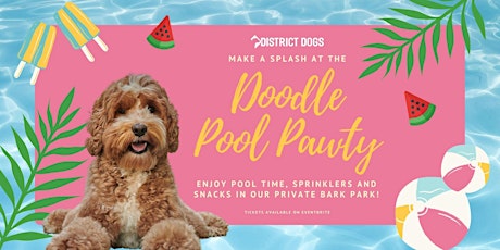 District Dogs Doodle Pool Pawty