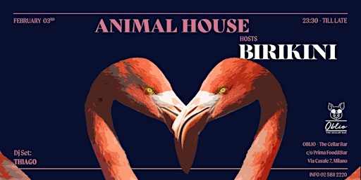 ANIMAL HOUSE - FRIDAY PARTY