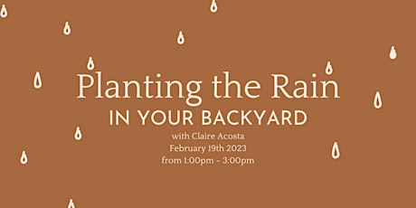Planting the Rain in your Backyard