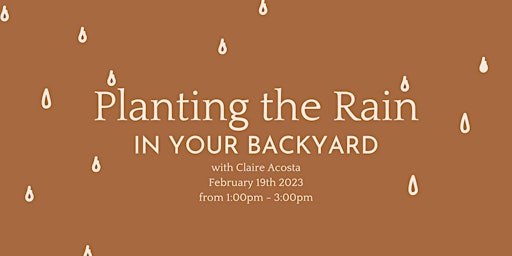 Planting the Rain in your Backyard