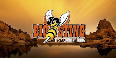 Imagem principal do evento The Big Sting - It's a Country Thing