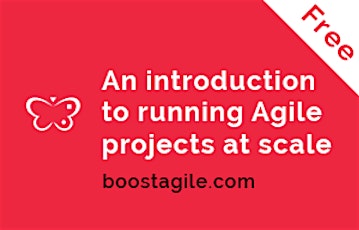 An introduction to running Agile projects at scale primary image