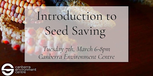 Intro to Seed Saving