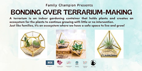 Be a Family Champion with Terrarium Making