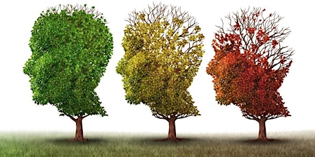 Memory Care Support: Memory Loss: Progression, Behaviors, Interventions pt2