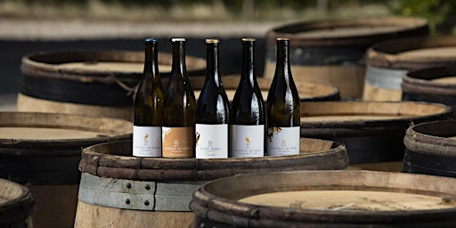 Atelier d'œnologie - spécial vins de Bourgogne