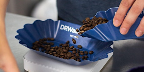 Amsterdam Coffee Tasting & Conversation with Daterra Coffee