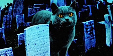 The Cat Came Back: Feline Familiars in the Horror Genre