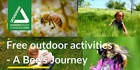 A Bees Journey - FREE wild play session - Chatteris